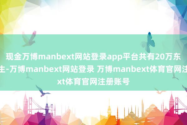现金万博manbext网站登录app平台共有20万东谈主丧生-万博manbext网站登录 万博manbext体育官网注册账号