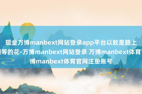 现金万博manbext网站登录app平台以致是路上看到的一朵相等的花-万博manbext网站登录 万博manbext体育官网注册账号