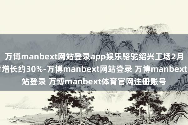 万博manbext网站登录app娱乐骆驼绍兴工场2月-3月比较客岁同时增长约30%-万博manbext网站登录 万博manbext体育官网注册账号