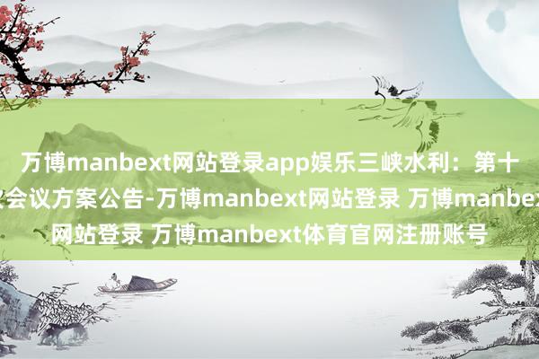 万博manbext网站登录app娱乐三峡水利：第十届董事会第二十八次会议方案公告-万博manbext网站登录 万博manbext体育官网注册账号