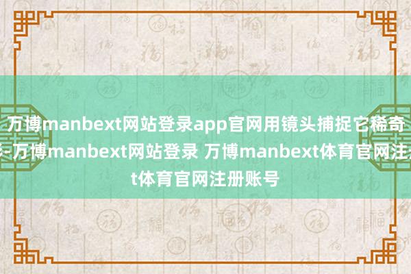 万博manbext网站登录app官网用镜头捕捉它稀奇的身影-万博manbext网站登录 万博manbext体育官网注册账号